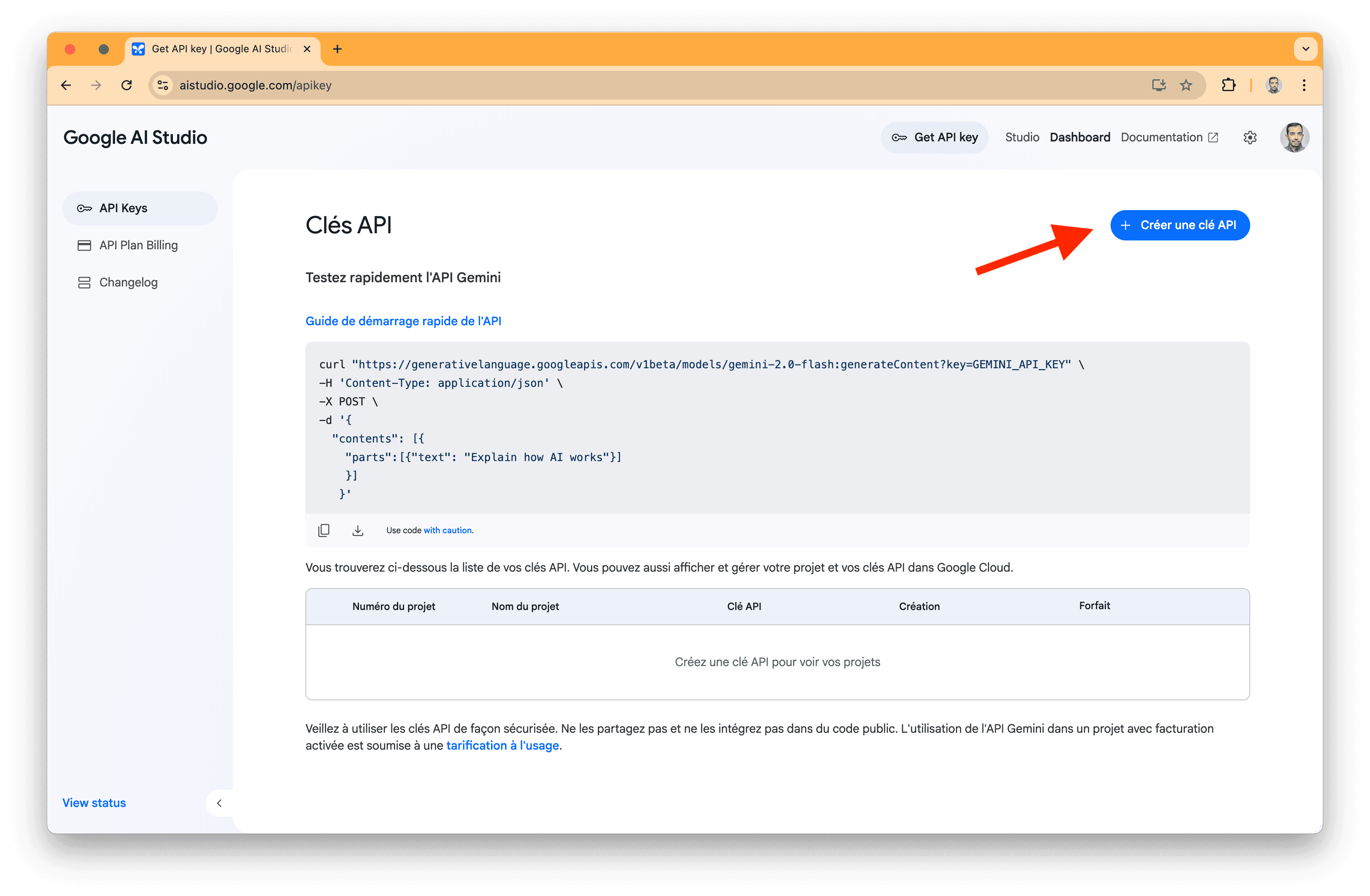 A screenshot of Google AI Studio.